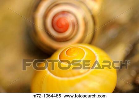 Spirals View Large Photo Image Stock Photography - Spirals. Fotosearch