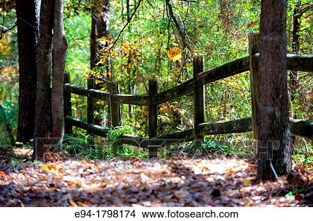 Split rail wooden fence line on a forested property in the autumn, north central Alabama, USA. View Large Photo Image Picture - Split rail wooden fence line on a forested property in the autumn, north central Alabama, USA.. Fotosearch