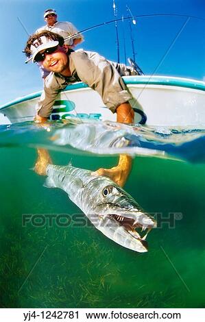 sport fishermen releasing a large great barracuda, Sphyraena barracuda, caught by fishing in flats, Stiltsville, Biscayne National Park, Miami, Florida, USA, Caribbean Sea, Atlantic Ocean View Large Photo Image Stock Image - sport fishermen releasing a large great barracuda, Sphyraena barracuda, caught by fishing in flats, Stiltsville, Biscayne National Park, Miami, Florida, USA, Caribbean Sea, Atlantic Ocean. Fotosearch