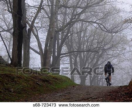 Sport View Large Photo Image Stock Image - Sport. Fotosearch