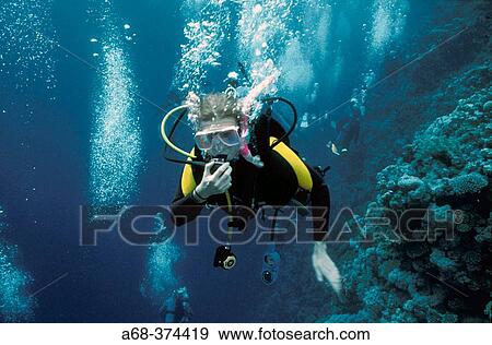 Sport View Large Photo Image Stock Photo - Sport. Fotosearch