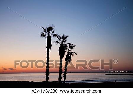 Spring dawn at Alboya Beach, in Valencia, Spain View Large Photo Image Stock Image - Spring dawn at Alboya Beach, in Valencia, Spain. Fotosearch