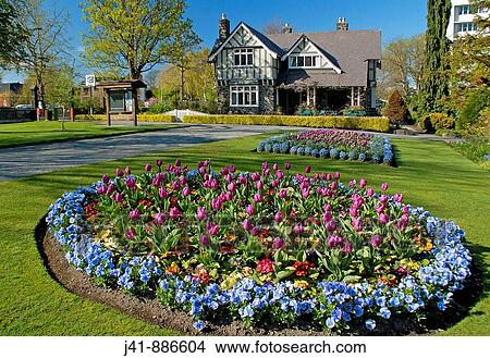 Spring flowers in Hagley Park Curators House restaurant behind Christchurch New Zealand View Large Photo Image Picture - Spring flowers in Hagley Park Curators House restaurant behind Christchurch New Zealand. Fotosearch
