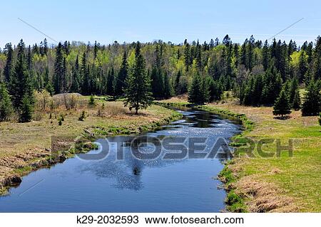 Stock Image - Spring foliage emerging around Junction Creek, Greater Sudbury (Lively), Ontario, Canada.. Fotosearch