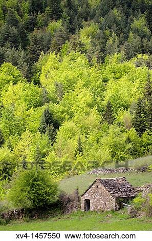 Spring Forest at Aragues Valley Huesca Pyrenees, Aragon Spain View Large Photo Image Stock Image - Spring Forest at Aragues Valley Huesca Pyrenees, Aragon Spain. Fotosearch