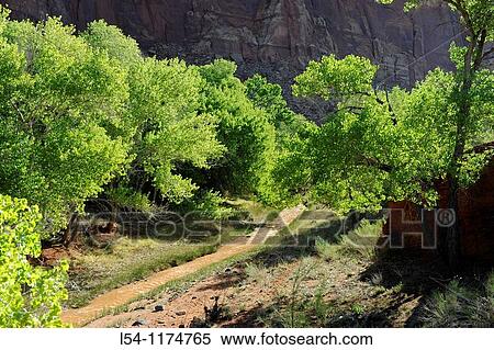 Stock Photography - Spring Fruit Trees Capitol Reef National Park Utah. Fotosearch