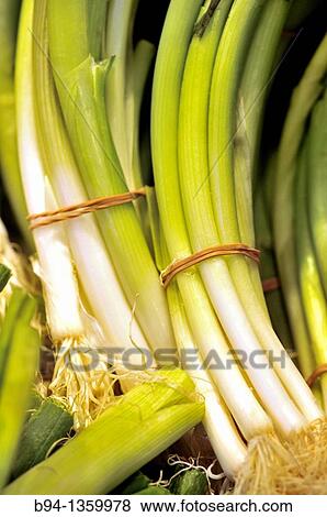 Spring garlic. La Boqueria market, Barcelona, Catalonia, Spain. View Large Photo Image Stock Photo - Spring garlic. La Boqueria market, Barcelona, Catalonia, Spain.. Fotosearch