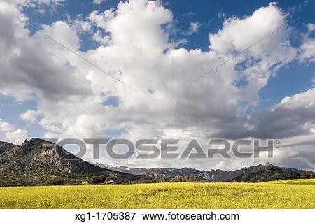 Spring in the Natural Park of Sierra de Guadarrama, Madrid, Spain, Europe View Large Photo Image Stock Photo - Spring in the Natural Park of Sierra de Guadarrama, Madrid, Spain, Europe. Fotosearch