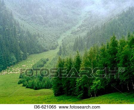 Spring in the Tatra Mountains View Large Photo Image Stock Photography - Spring in the Tatra Mountains. Fotosearch