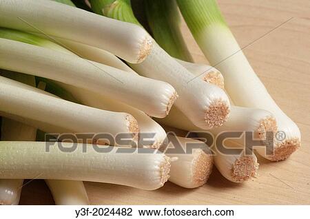 Spring onion tips ready for preparation. View Large Photo Image Stock Image - Spring onion tips ready for preparation.. Fotosearch