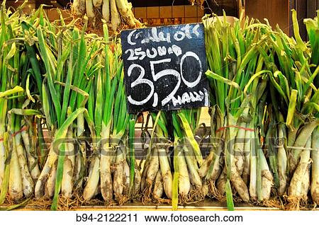 Stock Image - Spring onions,? Cal? ots?, typical in Catalonia. La Boquer? a market. Barcelona. Catalonia. Spain.. Fotosearch