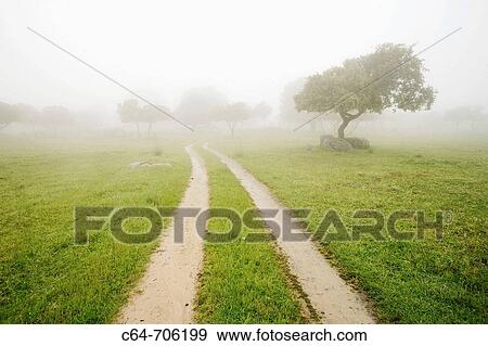 Stock Photo - Springtime at Sierra Morena. Andalucia. Spain. Fotosearch
