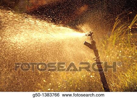 sprinkler in Garden View Large Photo Image Stock Photograph - sprinkler in Garden. Fotosearch