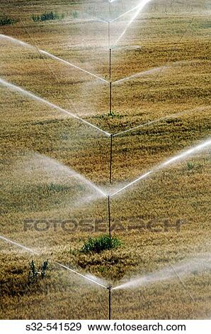 Sprinklers. Sariena, Huesca province. Spain View Large Photo Image Stock Photo - Sprinklers. Sariena, Huesca province. Spain. Fotosearch