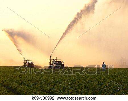 Sprinkling Crops. Florida (USA) View Large Photo Image Stock Image - Sprinkling Crops. Florida (USA). Fotosearch