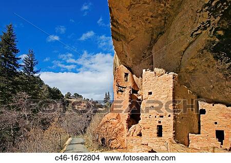 Spruce Tree House ruins at Mesa Verde National Park, Colorado, USA. View Large Photo Image Picture - Spruce Tree House ruins at Mesa Verde National Park, Colorado, USA.. Fotosearch