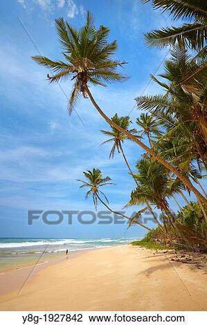 Stock Image - Sri Lanka Beach near Koggala Village, south part of Sri Lanka, Asia. Fotosearch