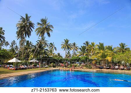 Sri Lanka, Bentota, beach, pool, palms, people,. View Large Photo Image Stock Image - Sri Lanka, Bentota, beach, pool, palms, people,.. Fotosearch