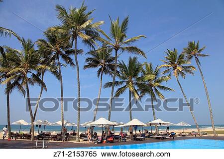 Sri Lanka, Bentota, beach, pool, palms, people,. View Large Photo Image Stock Photography - Sri Lanka, Bentota, beach, pool, palms, people,.. Fotosearch