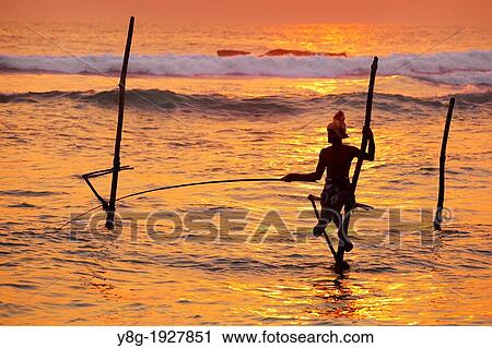 Sri Lanka - fisherman catches fish in a traditional way, Koggala Beach at sunset time, south part of Sri Lanka, Indian Ocean coast, Asia View Large Photo Image Stock Image - Sri Lanka - fisherman catches fish in a traditional way, Koggala Beach at sunset time, south part of Sri Lanka, Indian Ocean coast, Asia. Fotosearch
