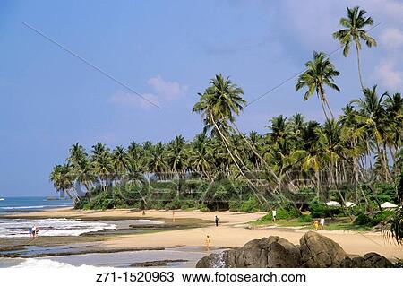 Sri Lanka, Galle, beach View Large Photo Image Stock Image - Sri Lanka, Galle, beach. Fotosearch