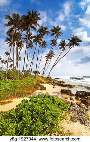 Sri Lanka Koggala Plage Village Près Galle Océan Indien Côte Asie Image