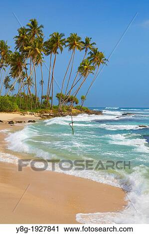 Sri Lanka - Landscape near Koggala beach, Indian Ocean coast, Asia View Large Photo Image Stock Image - Sri Lanka - Landscape near Koggala beach, Indian Ocean coast, Asia. Fotosearch
