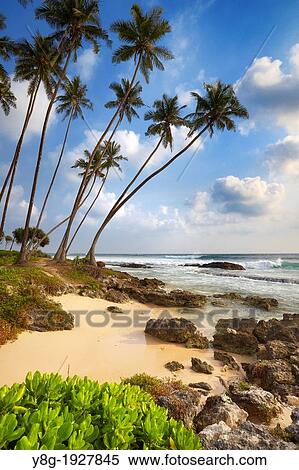 Sri Lanka Paysage Près Koggala Plage Océan Indien Côte Asie Banques De Photographies