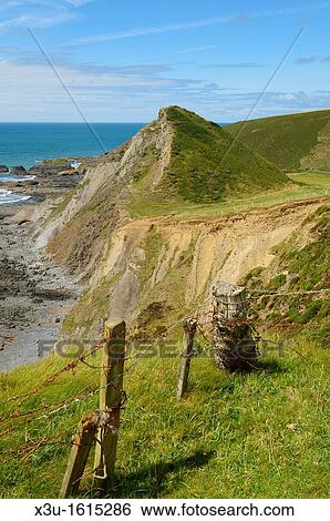 Stock Photograph - St Catherine's Tor at Spekes Mill Mouth near Hartland Quay on the North Devon Heritage Coast Devon, England, United Kingdom. Fotosearch
