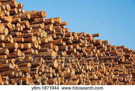 Stacks of logs to be used for lumber, Coos Bay, Oregon View Large Photo Image Picture - Stacks of logs to be used for lumber, Coos Bay, Oregon. Fotosearch