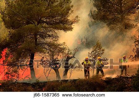 Staff working forest fire in a forest fire in Castell? n View Large Photo Image Stock Photography - Staff working forest fire in a forest fire in Castell? n. Fotosearch