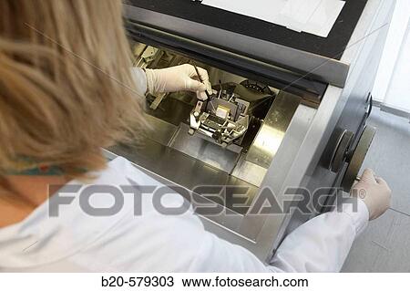 Stock Image - Staff working with the cryotome, special equipment for cutting tissues. Laboratory, Fundaci? n Inbiomed, Genetrix Group. Center for research in stem cells and regenerative medicine. Donostia, San Sebastian, Euskadi. Spain.. Fotosearch