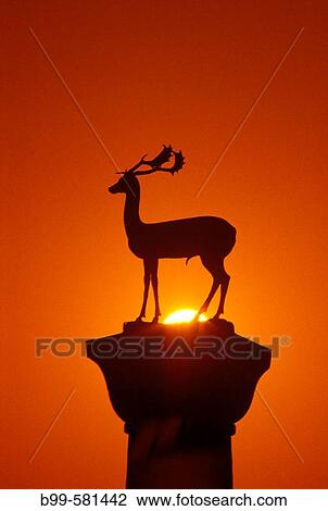 Stag column, Entrance, Mandraki harbour, Rhodes, Greece. View Large Photo Image Stock Image - Stag column, Entrance, Mandraki harbour, Rhodes, Greece.. Fotosearch