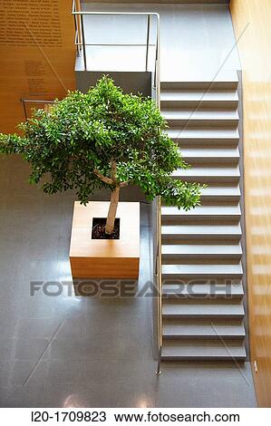Stairs in office building View Large Photo Image Stock Image - Stairs in office building. Fotosearch