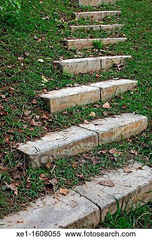 stairs, park, district Guinardo, Barcelona, Catalonia, Spain View Large Photo Image Stock Photography - stairs, park, district Guinardo, Barcelona, Catalonia, Spain. Fotosearch