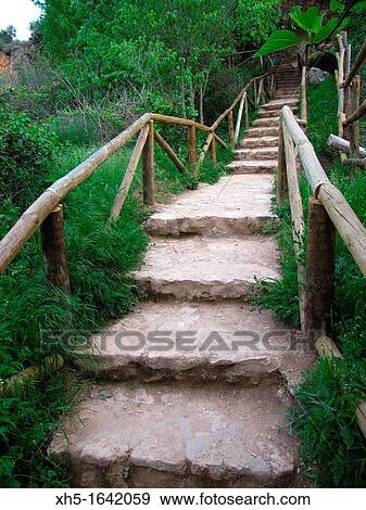 Stairs View Large Photo Image Stock Photo - Stairs. Fotosearch