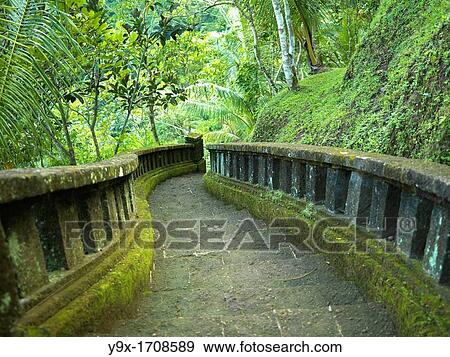 Stairway leading into a tropical jungle View Large Photo Image Stock Photo - Stairway leading into a tropical jungle. Fotosearch
