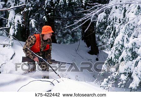 Stalking deer or bear, rifle hunting. USA View Large Photo Image Stock Image - Stalking deer or bear, rifle hunting. USA. Fotosearch