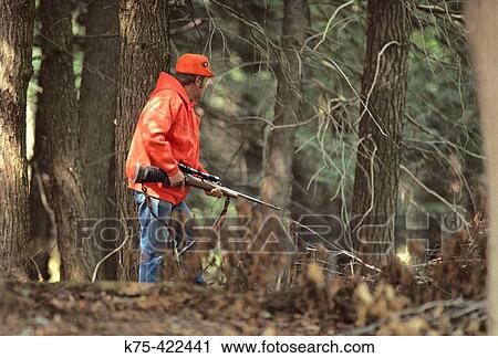 Stalking with rifle white-tailed buck deer, rifle hunting. USA View Large Photo Image Stock Image - Stalking with rifle white-tailed buck deer, rifle hunting. USA. Fotosearch