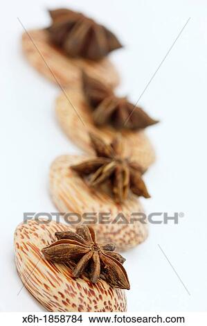 star anise displayed in a fresh and contemporary style View Large Photo Image Picture - star anise displayed in a fresh and contemporary style. Fotosearch