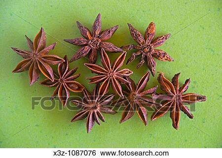 Star anise View Large Photo Image Stock Photograph - Star anise. Fotosearch
