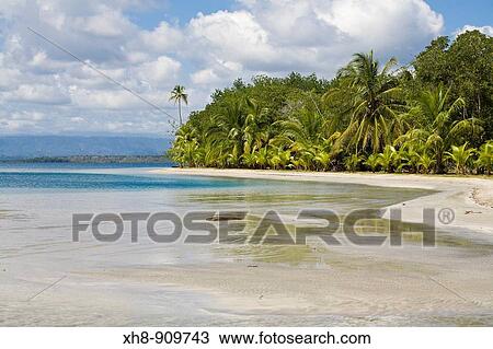 Stock Image - Star Beach, Colon Island, Bocas del Toro Province, Panama. Fotosearch