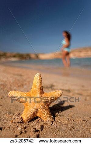 Stock Image - Starfish and a woman in bikini on the beach, Naxos, Cyclades Islands, Greek Islands, Greece, Greece, Europe.. Fotosearch