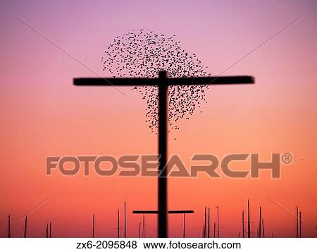 Starlings flying at dawn over lamp and vessels posts. Sant Carles de la Rapita Village. Montsia Region, Tarragona Province, Catalonia, Spain. View Large Photo Image Stock Photo - Starlings flying at dawn over lamp and vessels posts. Sant Carles de la Rapita Village. Montsia Region, Tarragona Province, Catalonia, Spain.. Fotosearch