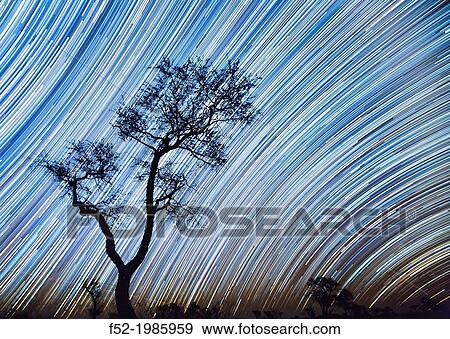 Stars and sky, Kalahari Desert, Botswana, Africa View Large Photo Image Stock Photo - Stars and sky, Kalahari Desert, Botswana, Africa. Fotosearch