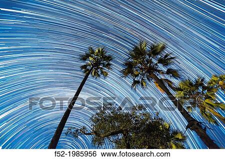 Stock Photograph - Stars and sky, Okavango Delta, Botswana, Africa. Fotosearch