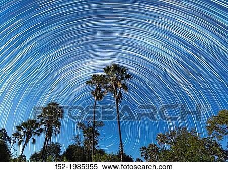 Stars and sky, Okavango Delta, Botswana, Africa View Large Photo Image Stock Photography - Stars and sky, Okavango Delta, Botswana, Africa. Fotosearch