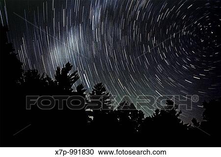 Stars over evergreens View Large Photo Image Stock Image - Stars over evergreens. Fotosearch