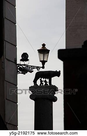statue of romulus and remus with she wolf on capitol hill in rome italy View Large Photo Image Stock Photography - statue of romulus and remus with she wolf on capitol hill in rome italy. Fotosearch