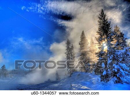 Steam and sun envelope trees during the winter landscape at Yellowstone National Park, Wyoming View Large Photo Image Stock Photo - Steam and sun envelope trees during the winter landscape at Yellowstone National Park, Wyoming. Fotosearch